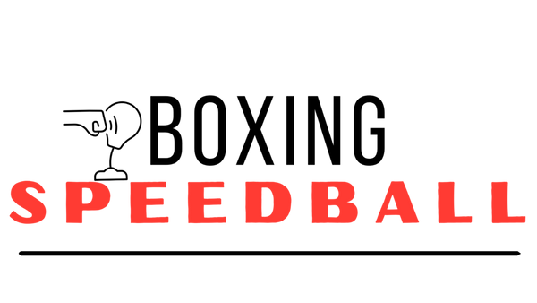 Boxing SpeedBall